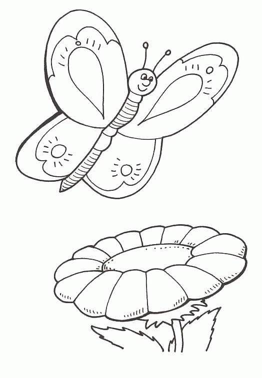 Plansa de colorat cu Fluturi 80 79